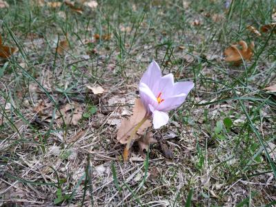 Прикрепленное изображение: IMG_20191004_181207.jpg